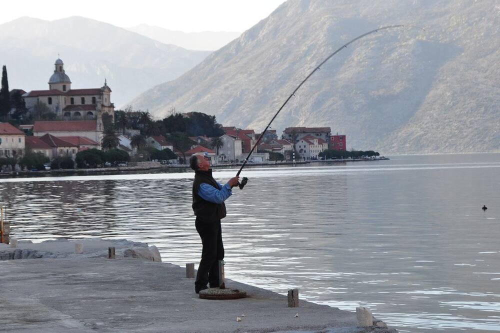 Photo of Others in Prcanj