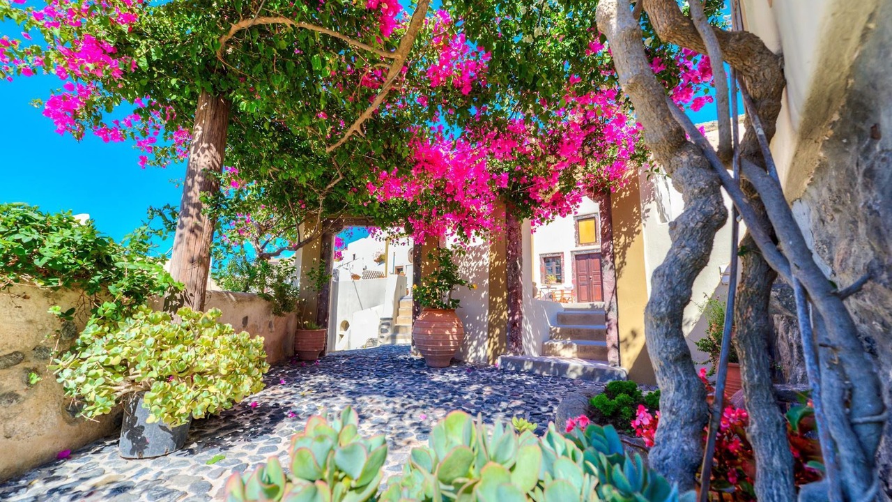 Photo of Outdoor in Messaria