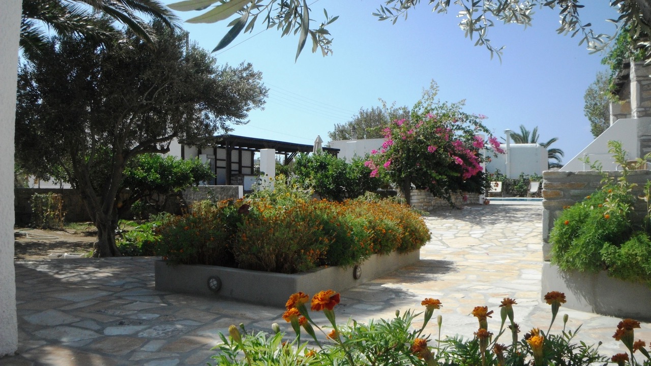 Photo of Outdoor in Ios Town
