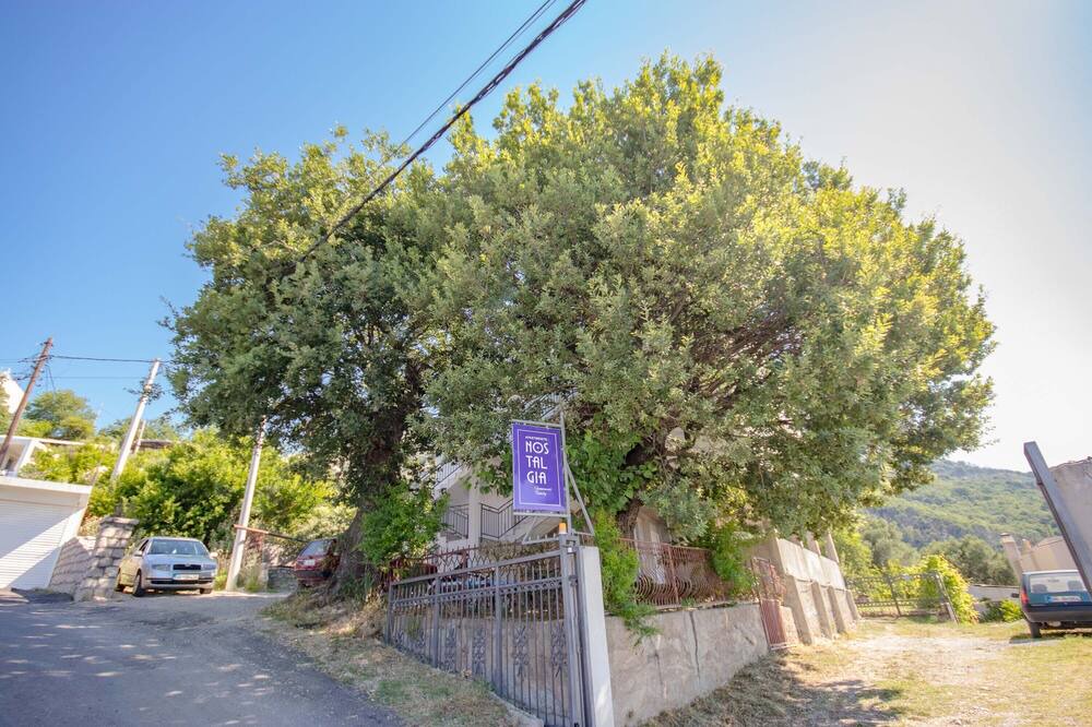 Photo of Outdoor in Vitici
