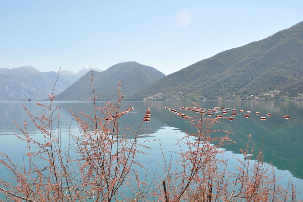 Photo of Others in Krasici