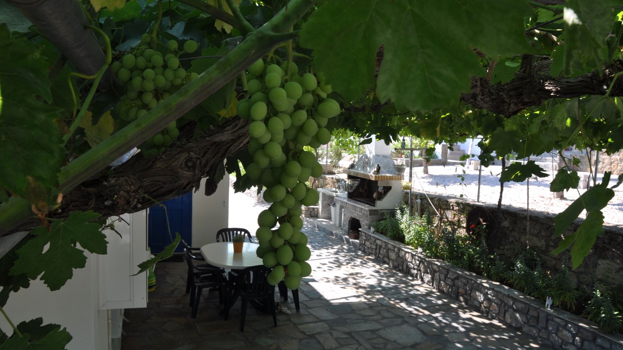 Photo of Outdoor in Pefkos