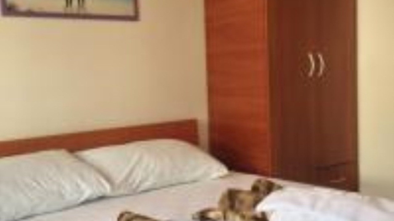 Photo of Bedroom in Maini