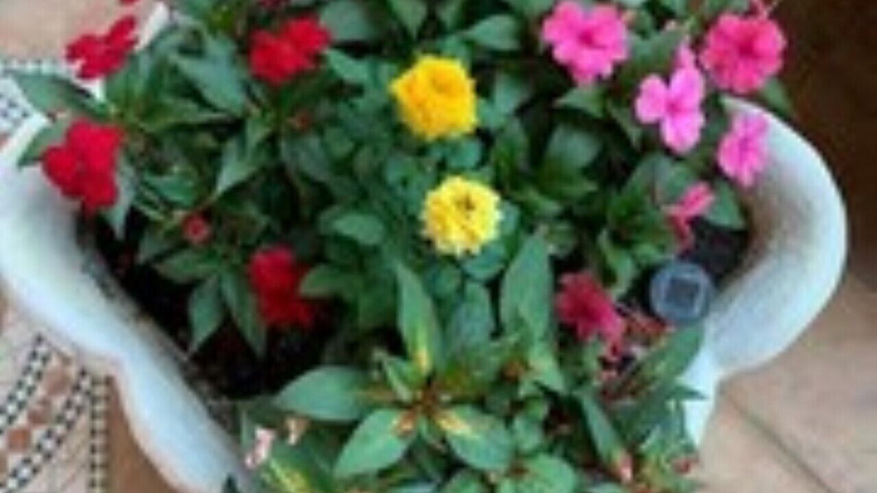 Photo of Outdoor in Maini