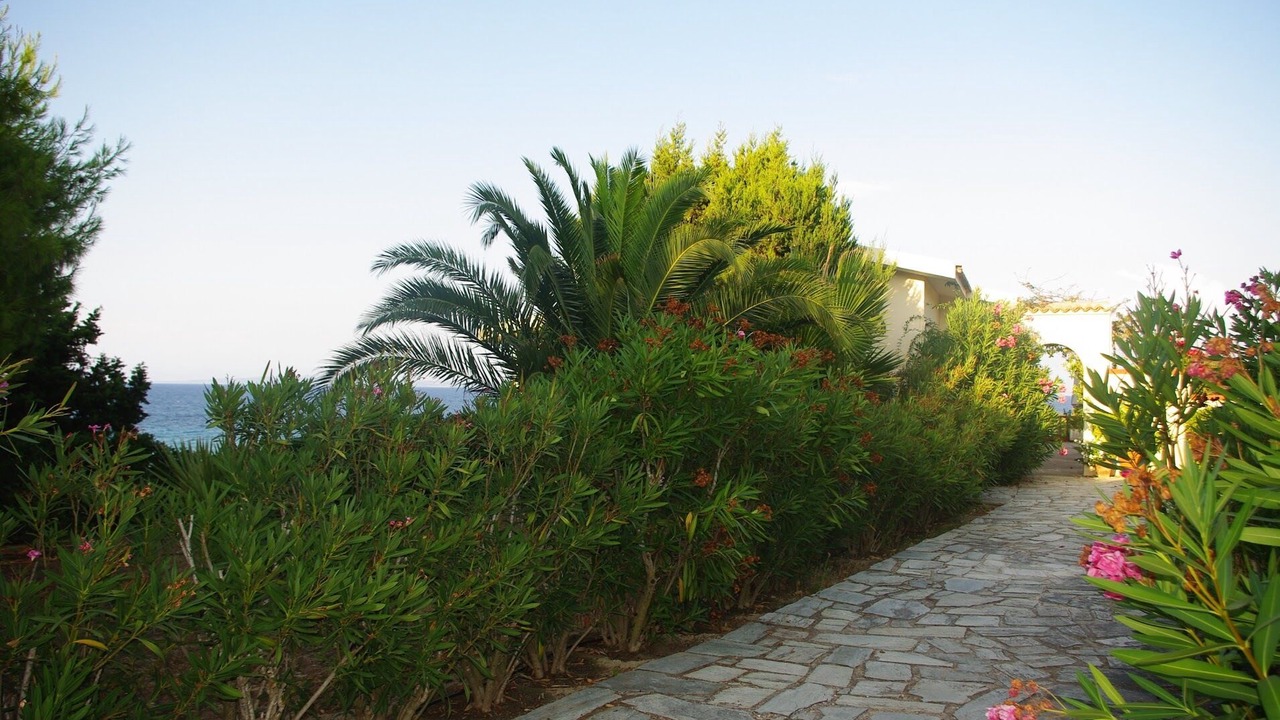 Photo of Outdoor in Ano Vasilikos
