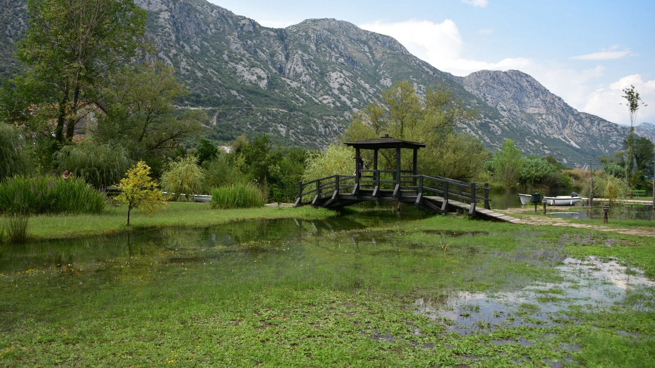 Photo of Outdoor in Donji Morinj