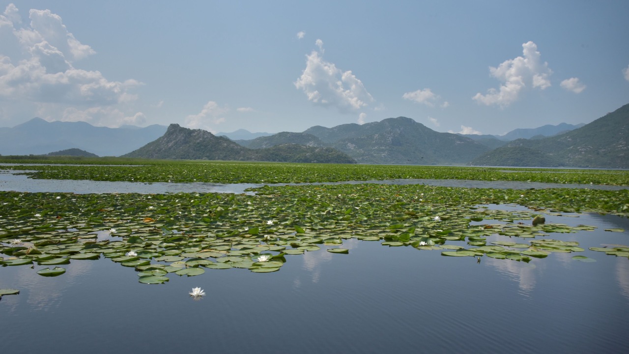 Photo of Outdoor in Donji Morinj