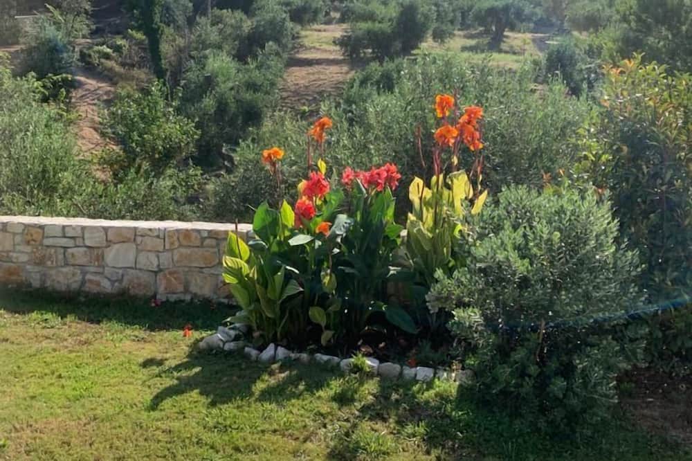 Photo of Outdoor in Afionas