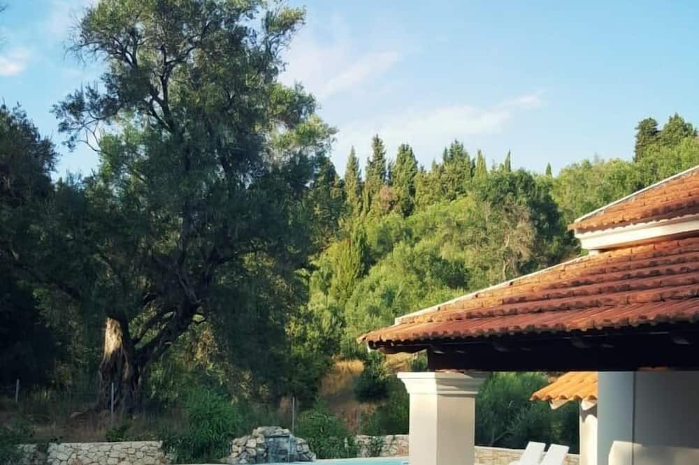 Photo of Outdoor in Afionas