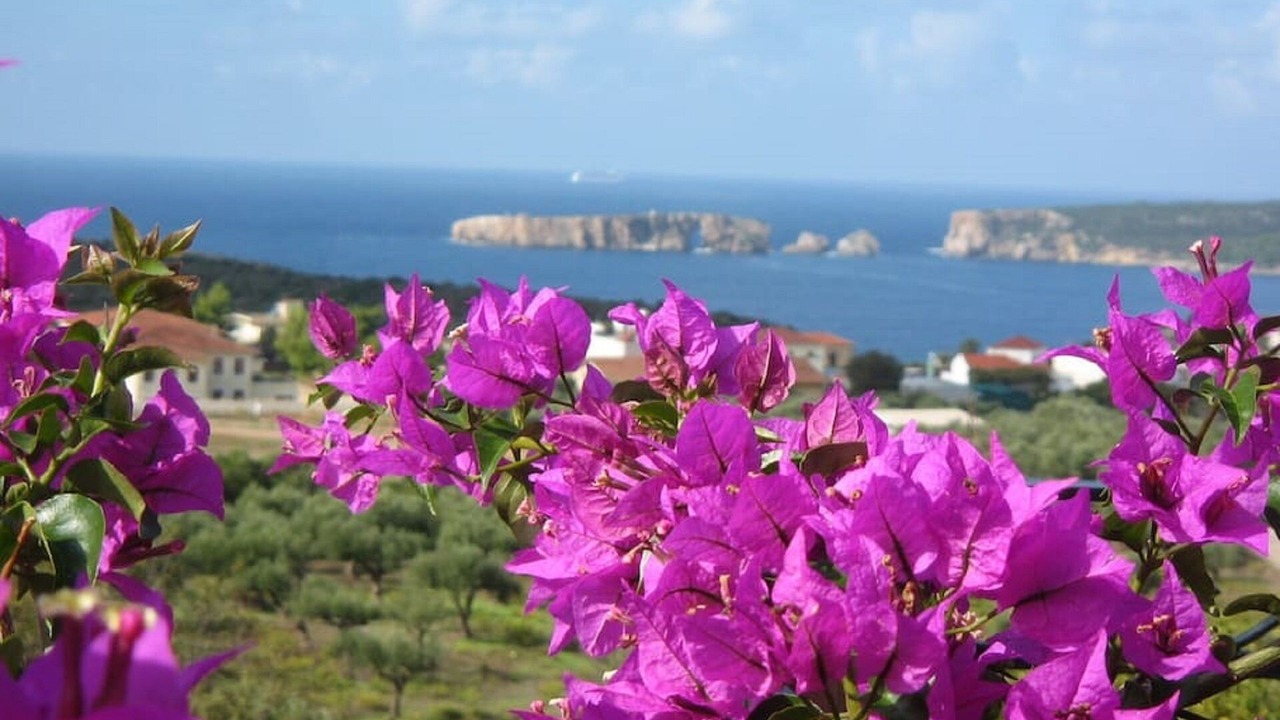 Photo of Outdoor in Pylos