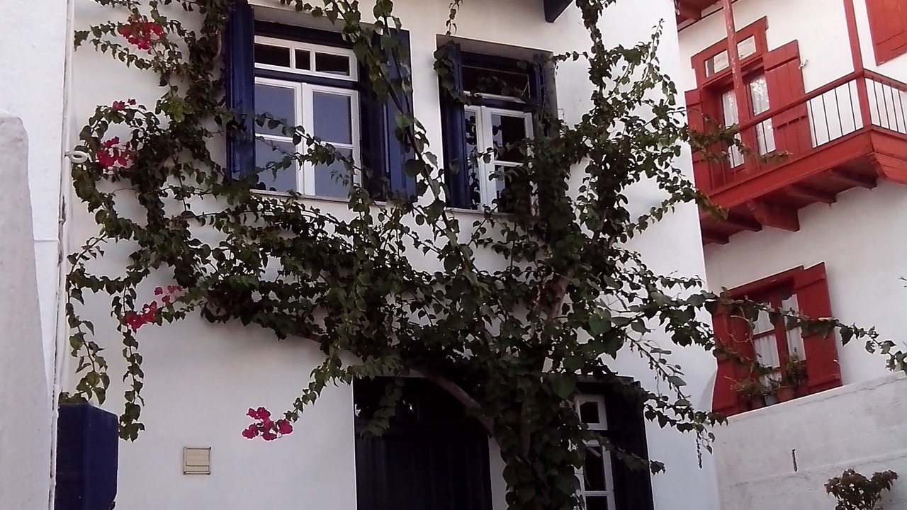 Photo of Outdoor in Skopelos Town