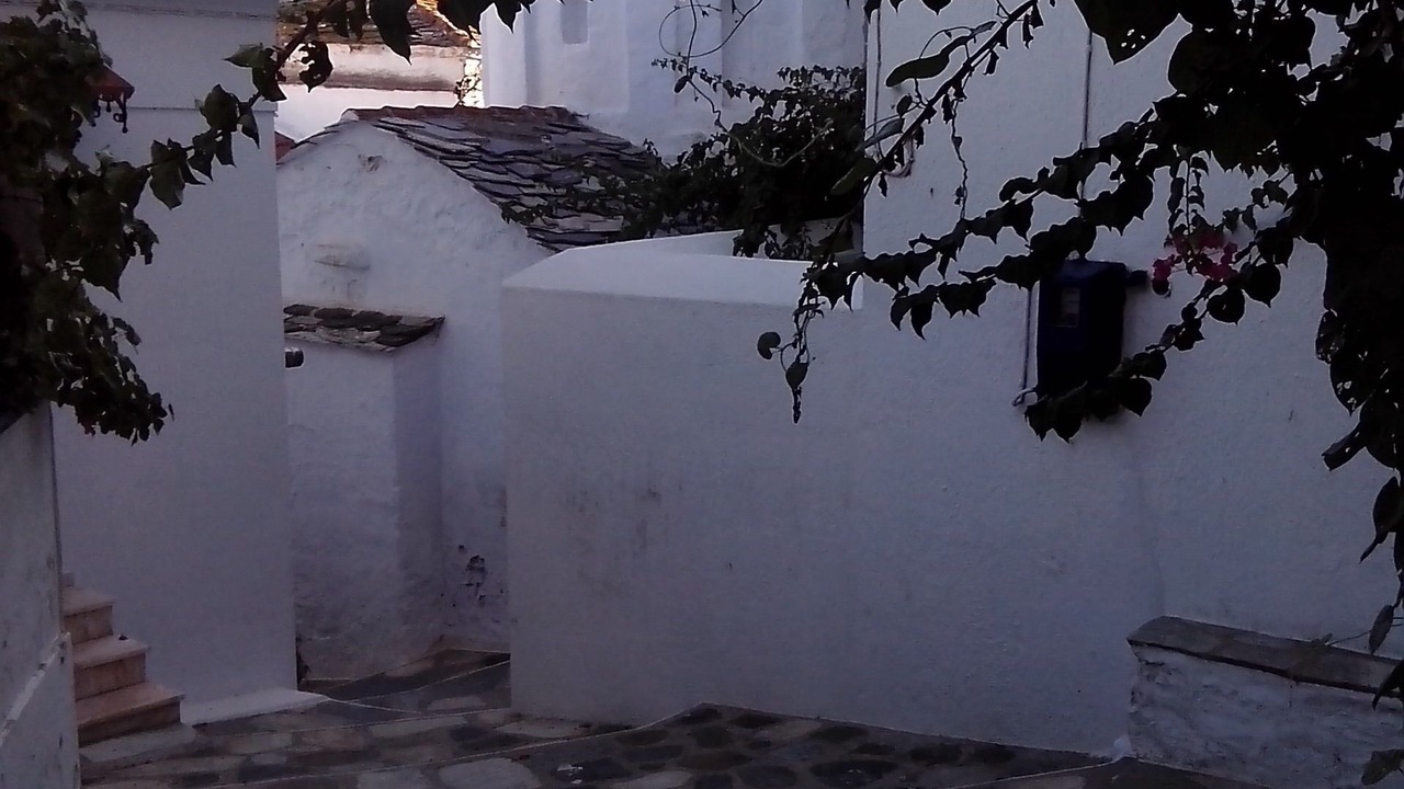 Photo of Others in Skopelos Town
