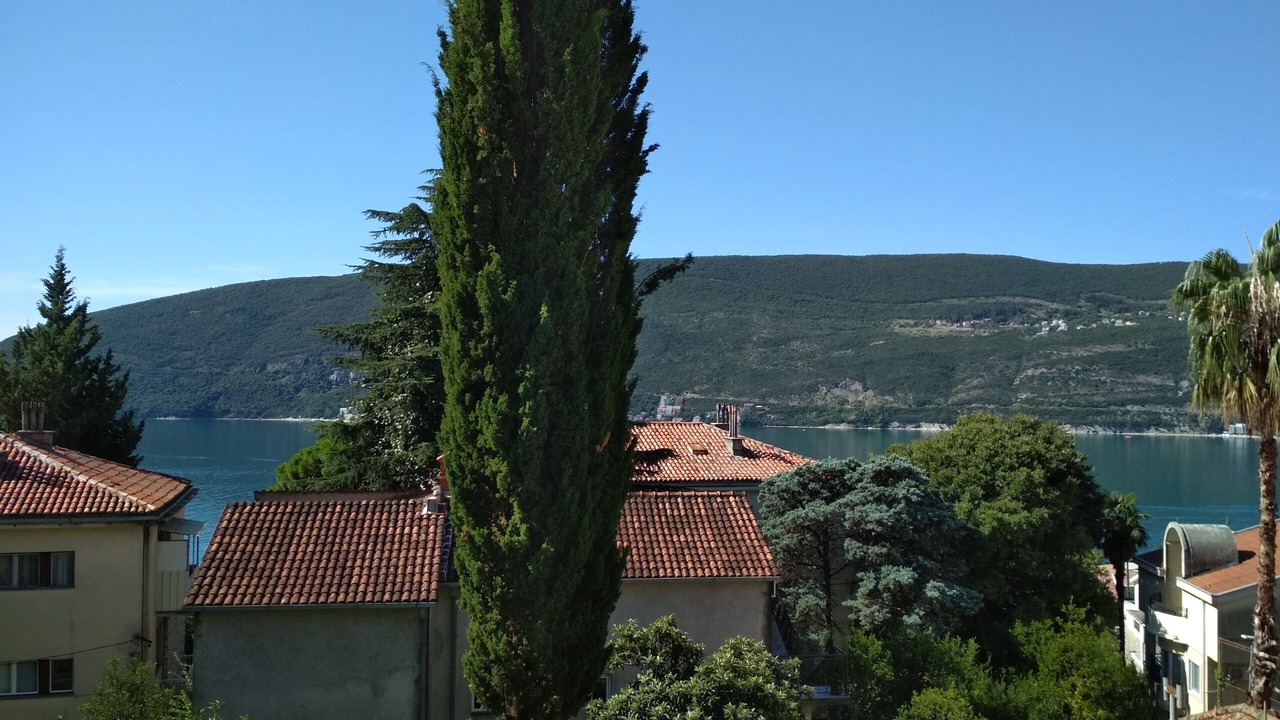 Photo of Others in Topla