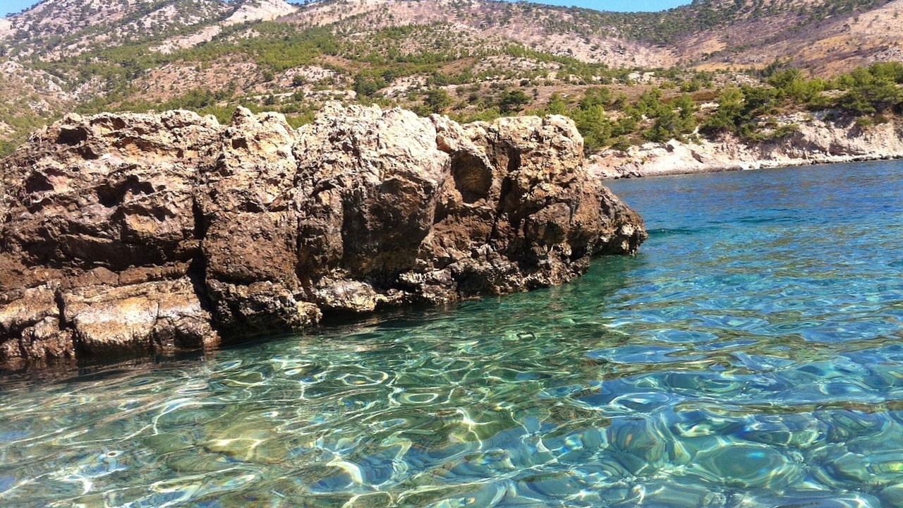 Photo of Others in Avgonyma
