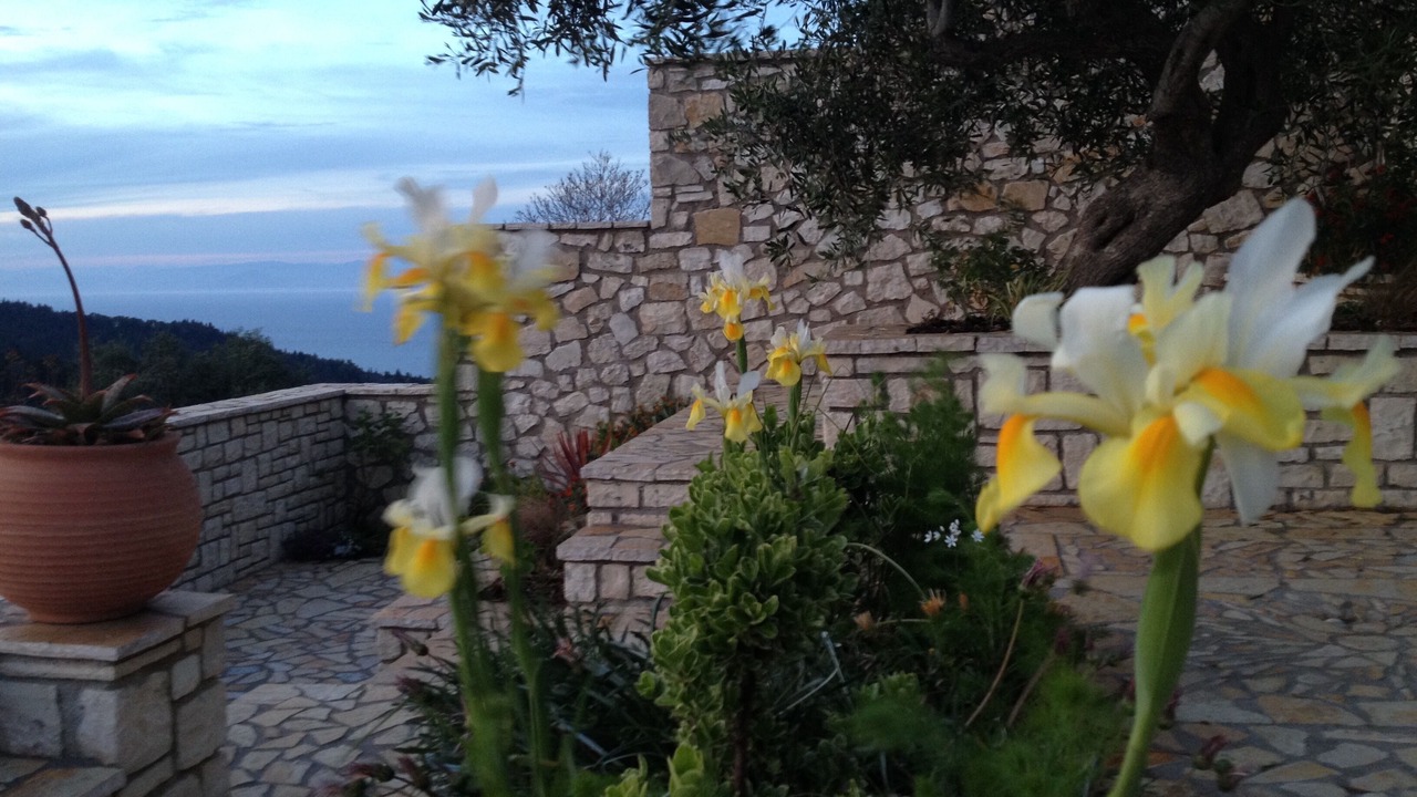 Photo of Outdoor in Vlachopoulatika