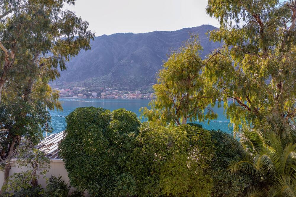 Photo of Outdoor in Kotor