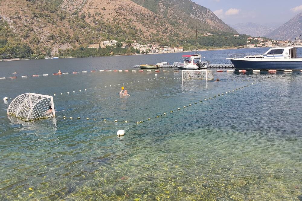 Photo of Others in Kotor