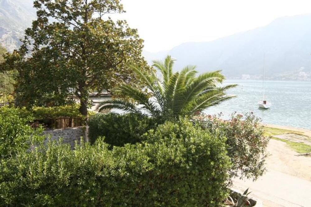 Photo of Others in Kotor