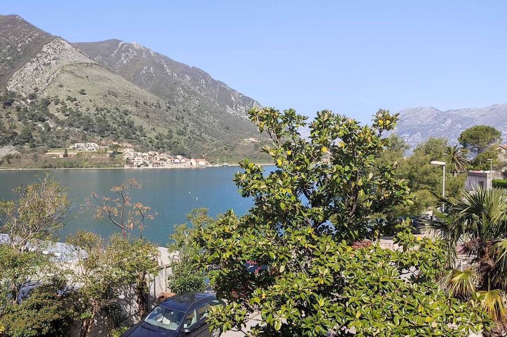Photo of Others in Kotor