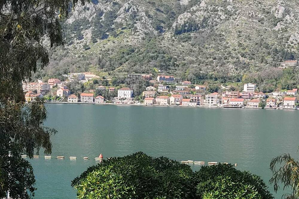 Photo of Others in Kotor