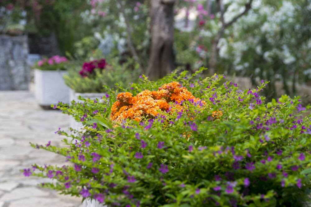 Photo of Outdoor in Gaios