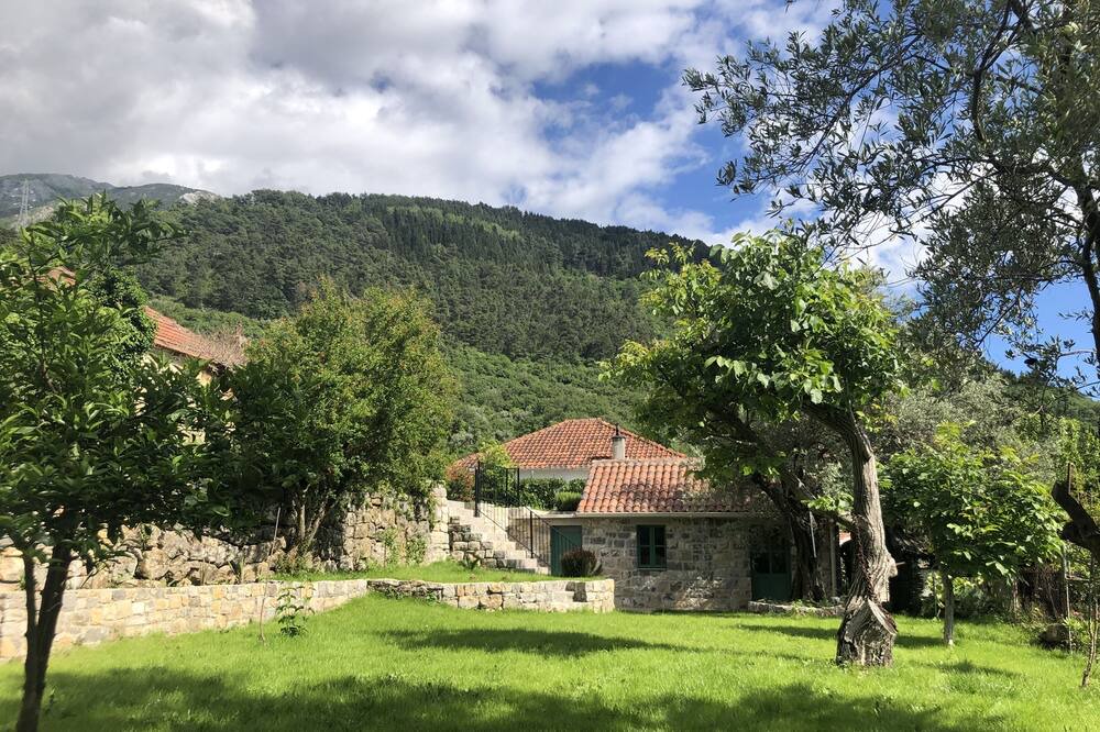 Photo of Outdoor in Kotor