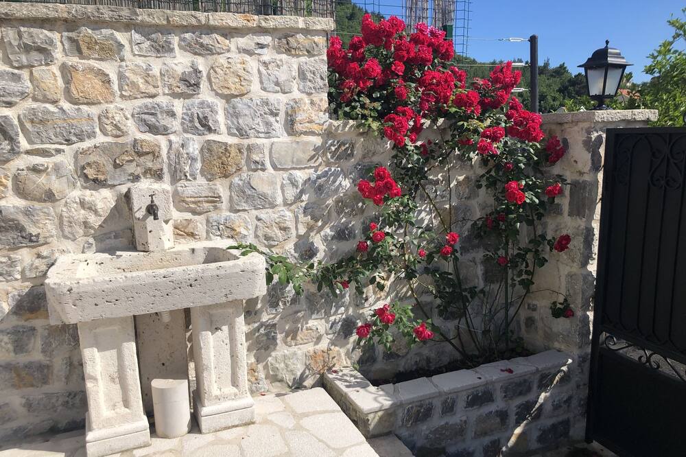 Photo of Others in Kotor