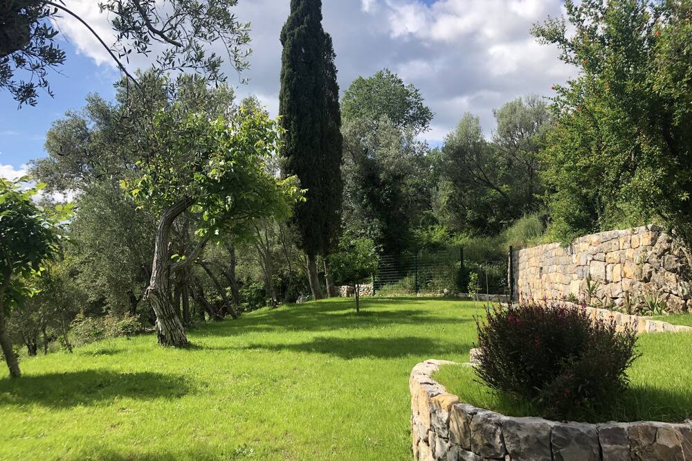 Photo of Outdoor in Kotor