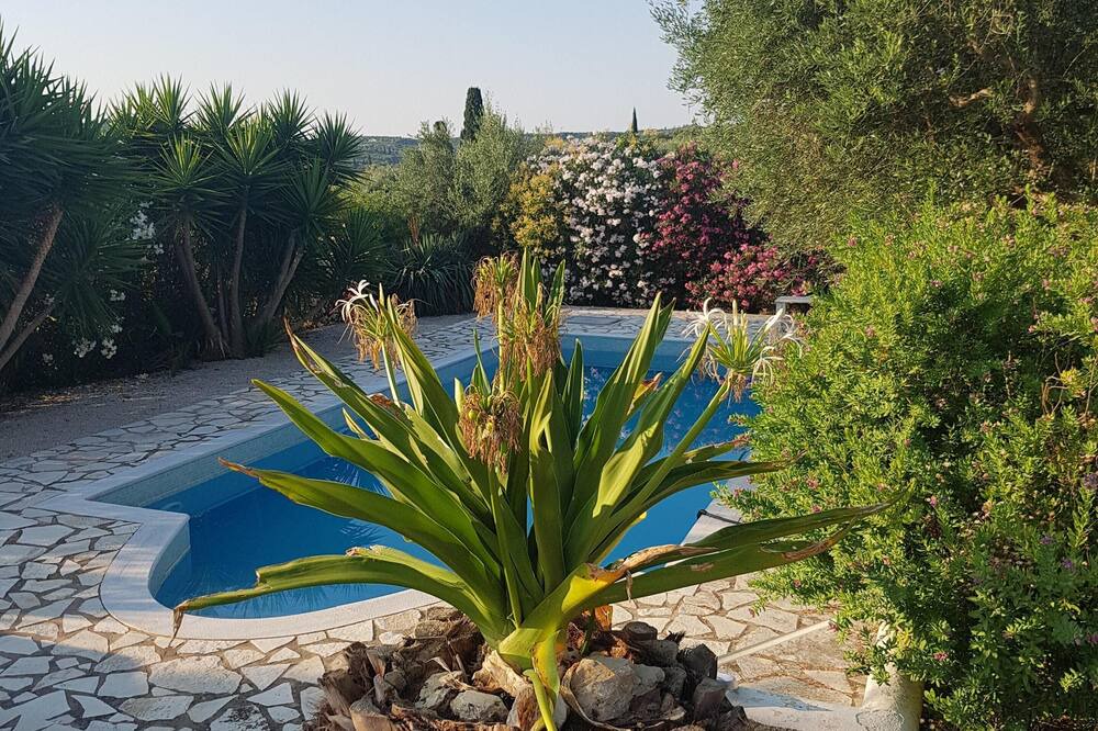 Photo of Outdoor in Falanthi