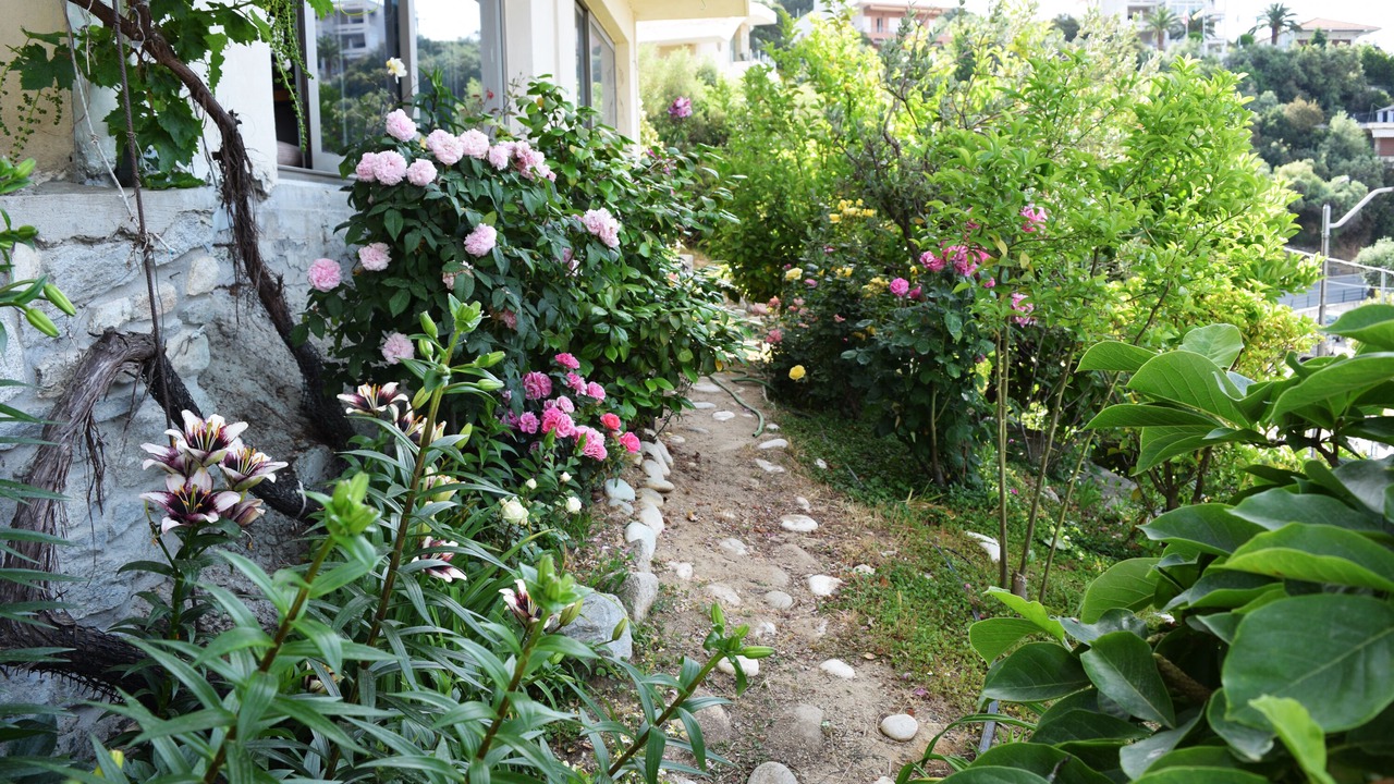 Photo of Outdoor in Palaio Tsifliki