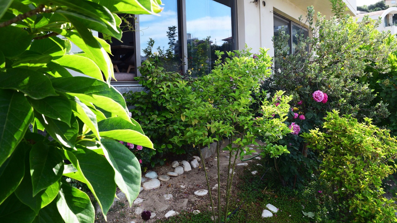 Photo of Outdoor in Palaio Tsifliki