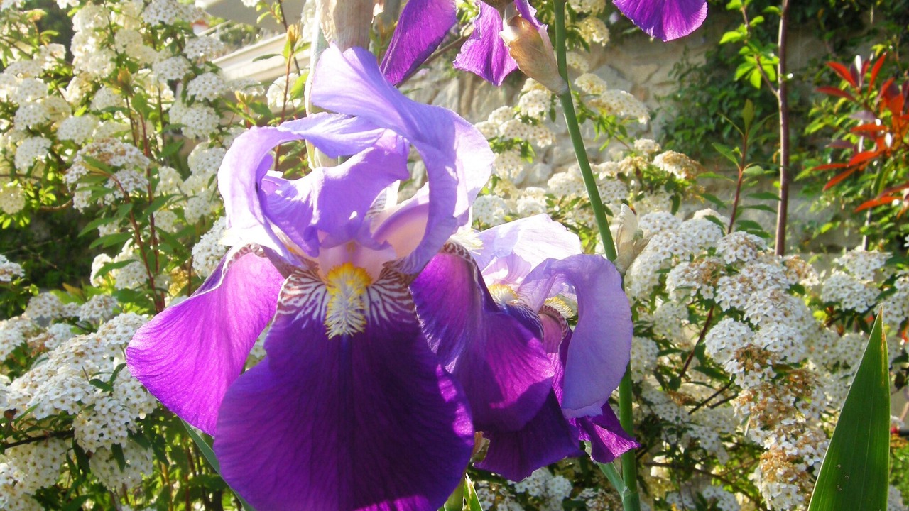 Photo of Outdoor in Palaio Tsifliki