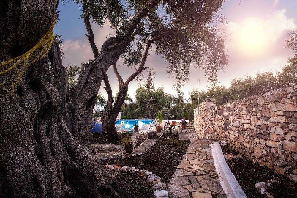 Photo of Others in Gaios