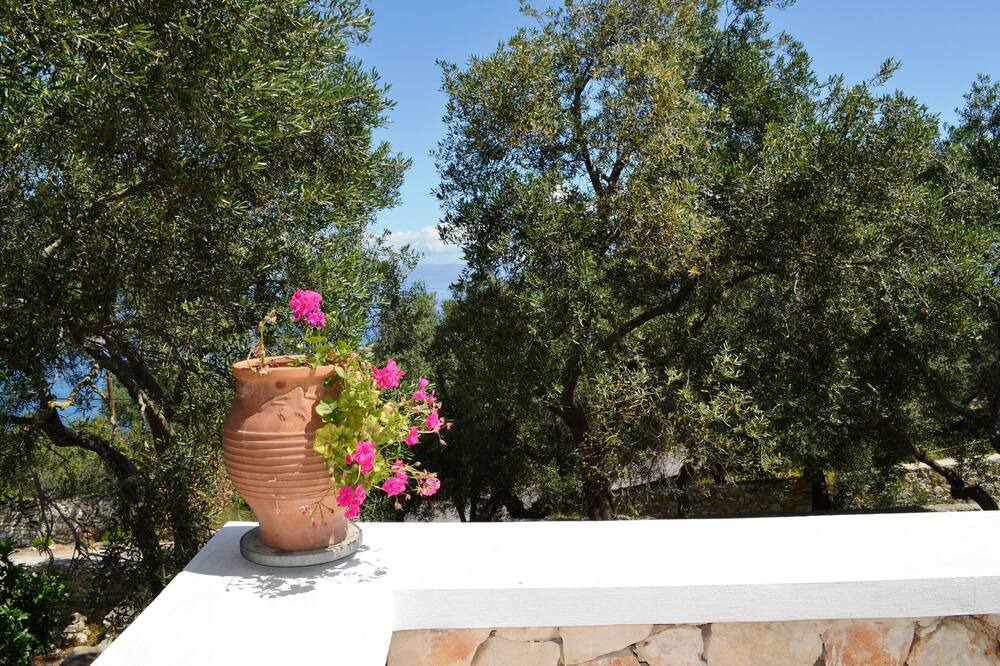 Photo of Outdoor in Gaios