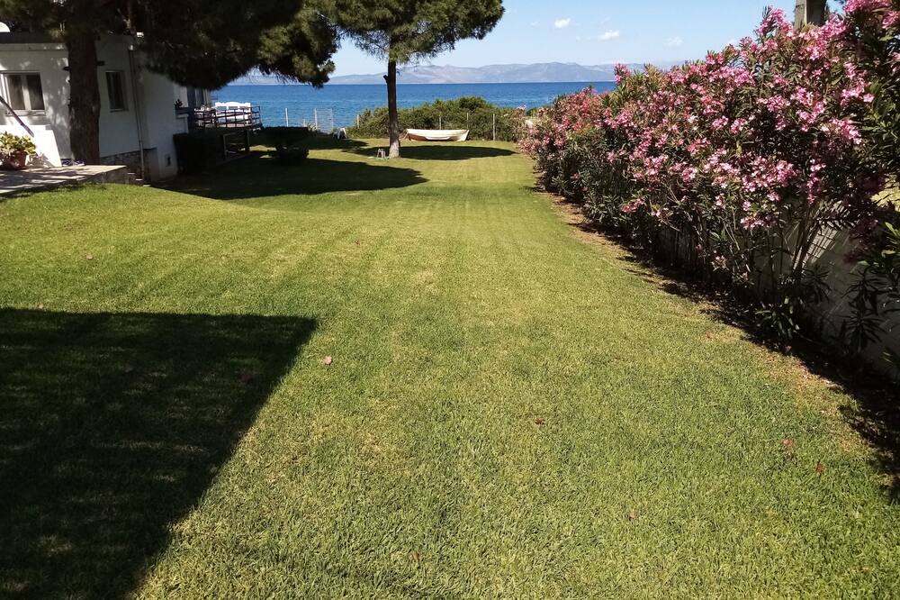 Photo of Outdoor in Nea Makri