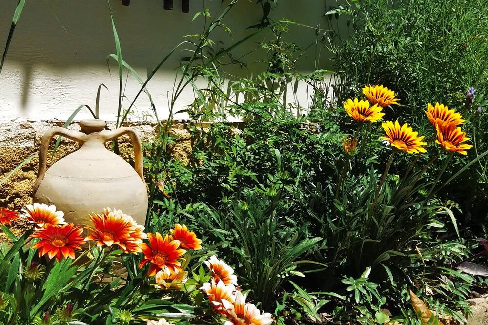 Photo of Outdoor in Gazatika