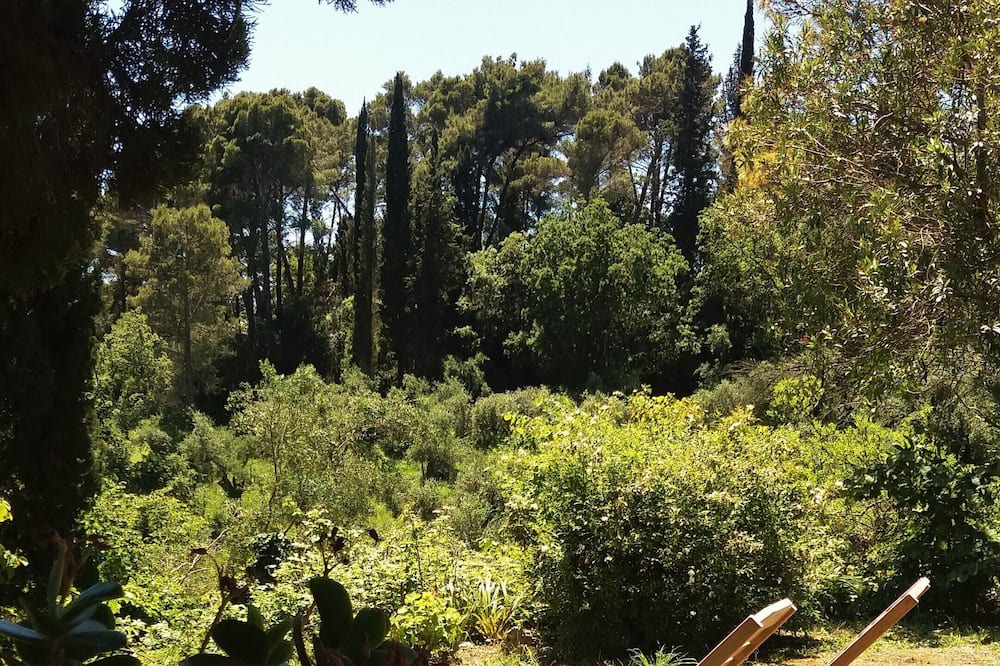 Photo of Outdoor in Gazatika