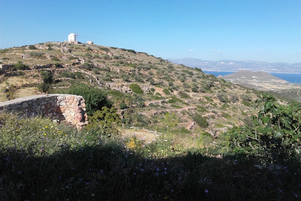 Photo of Outdoor in Lefkes