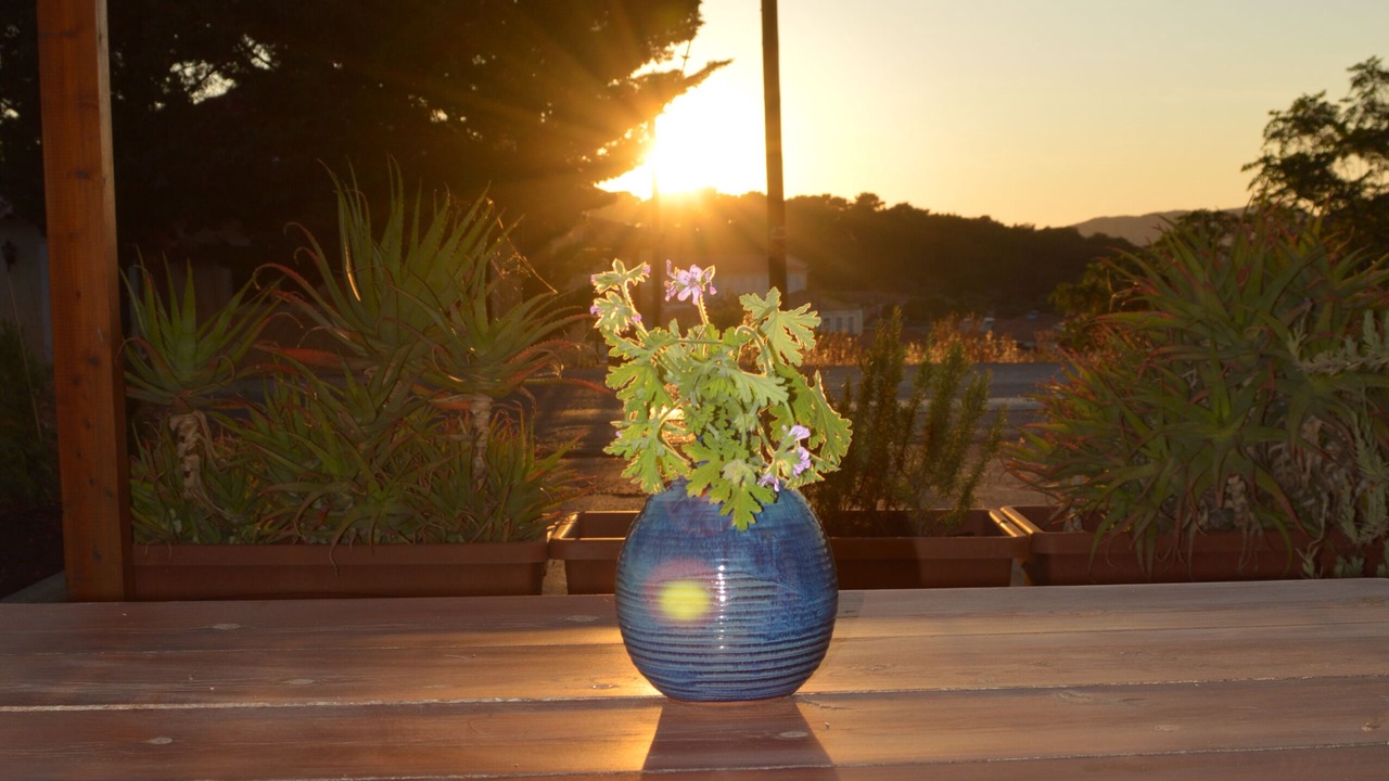 Photo of Outdoor in Pylos
