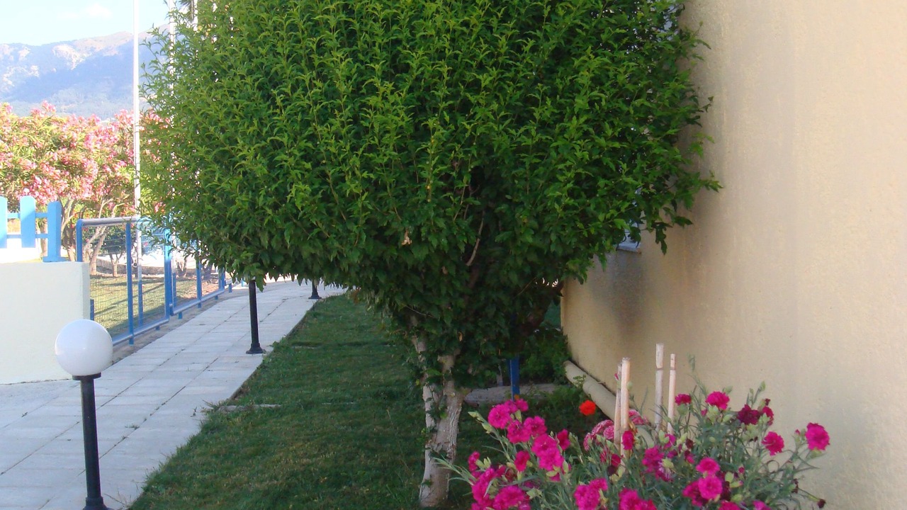 Photo of Outdoor in Tingaki