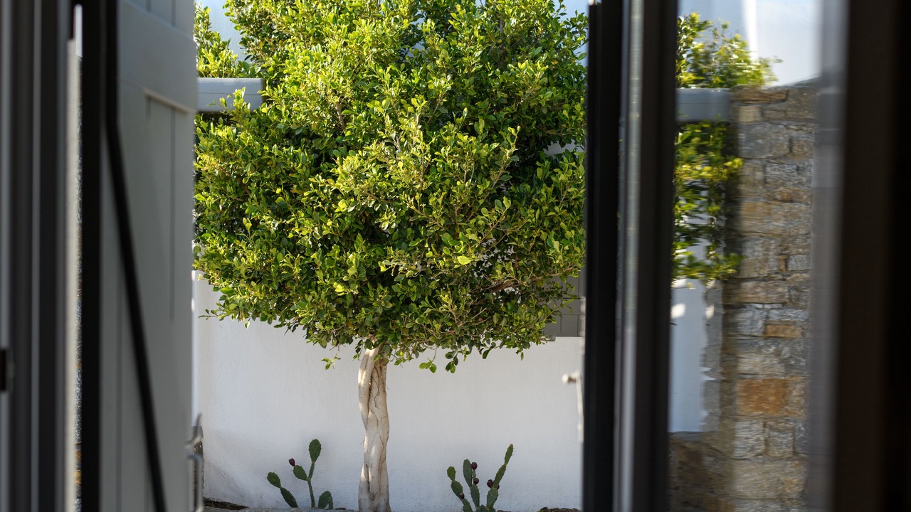 Photo of Outdoor in Ano Mera
