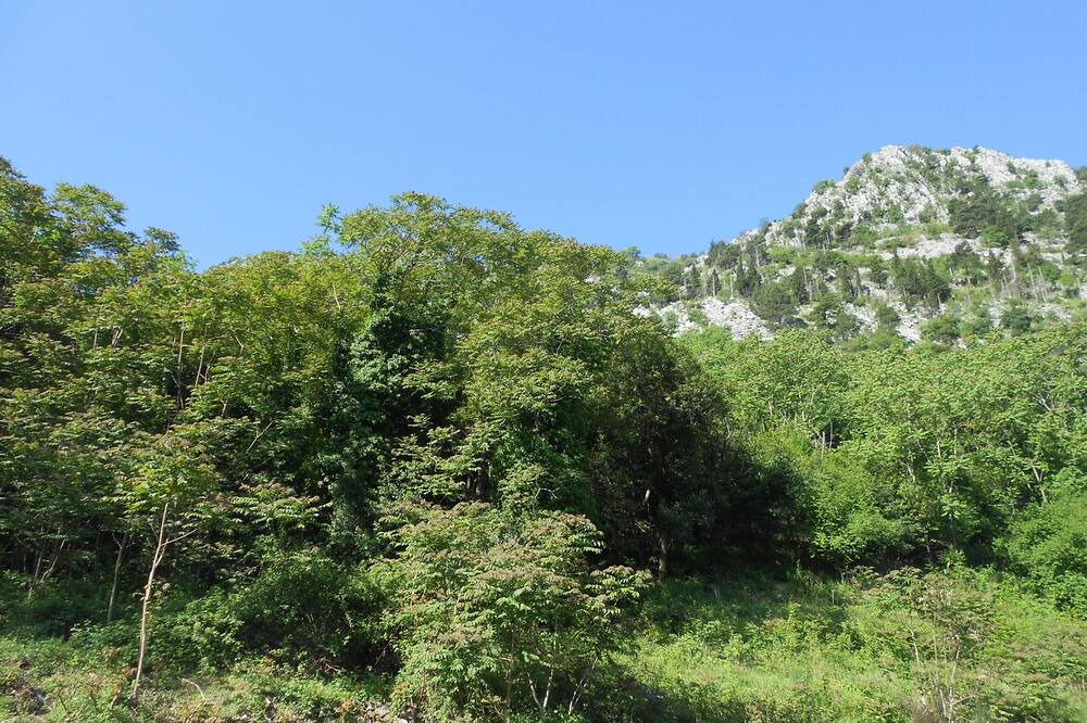 Photo of Patio Balcony in Kotor