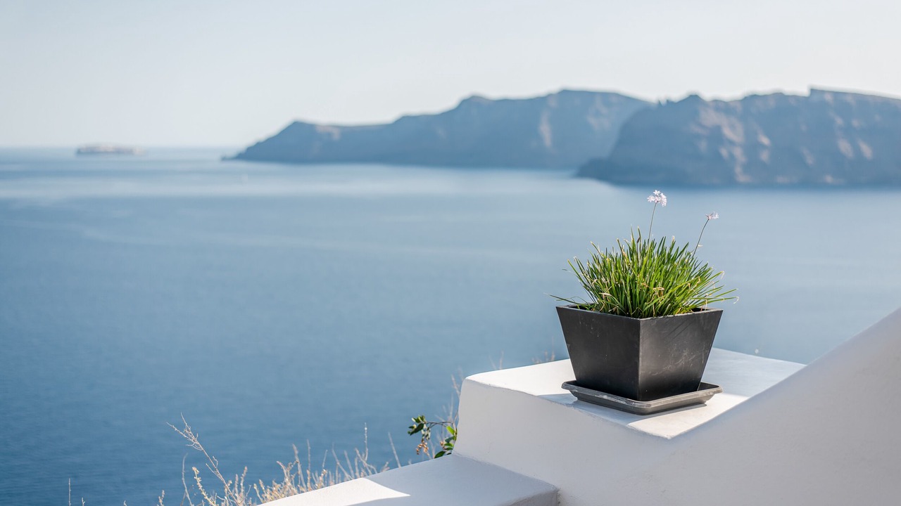 Photo of Others in Oia
