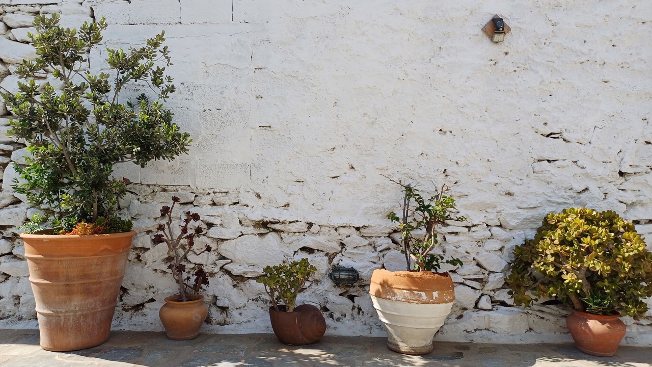 Photo of Outdoor in Mykonos Town
