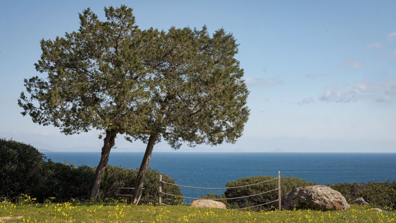 Photo of Outdoor in Kontos