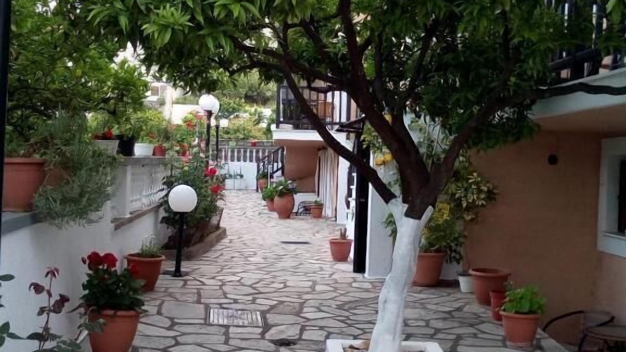 Photo of Outdoor in Skopelos
