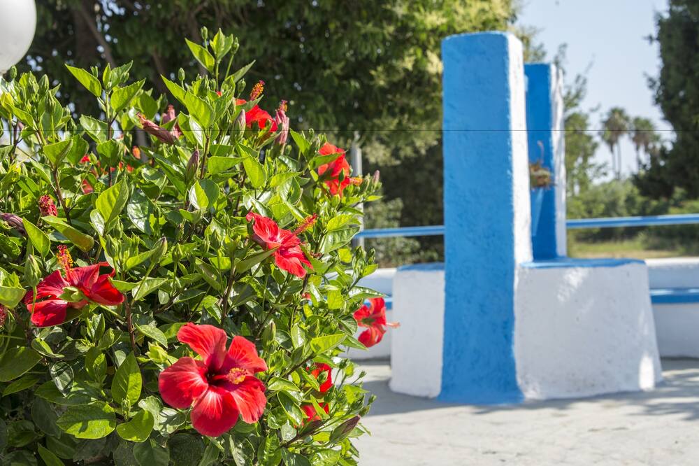 Photo of Outdoor in Psalidi