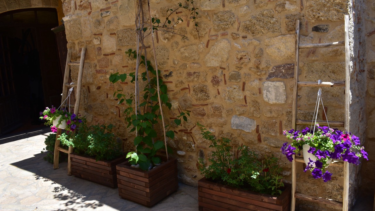 Photo of Others in Rhodes Old Town