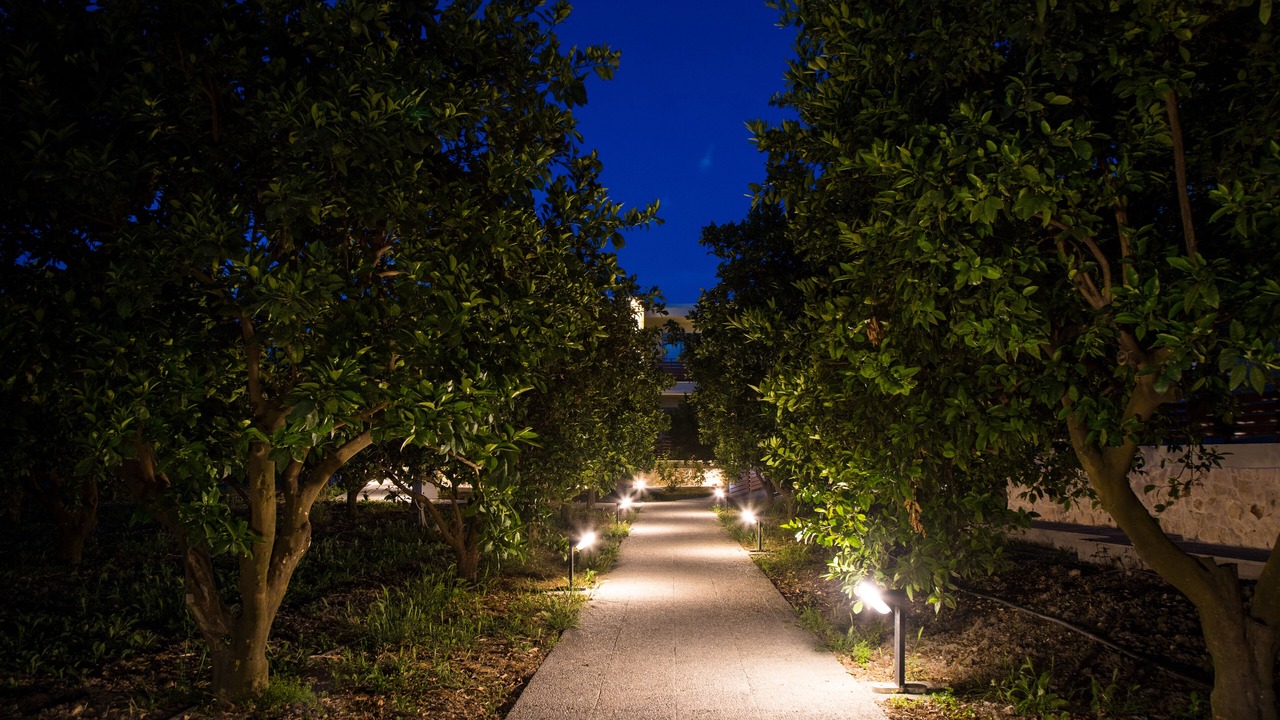 Photo of Outdoor in Ialyssos
