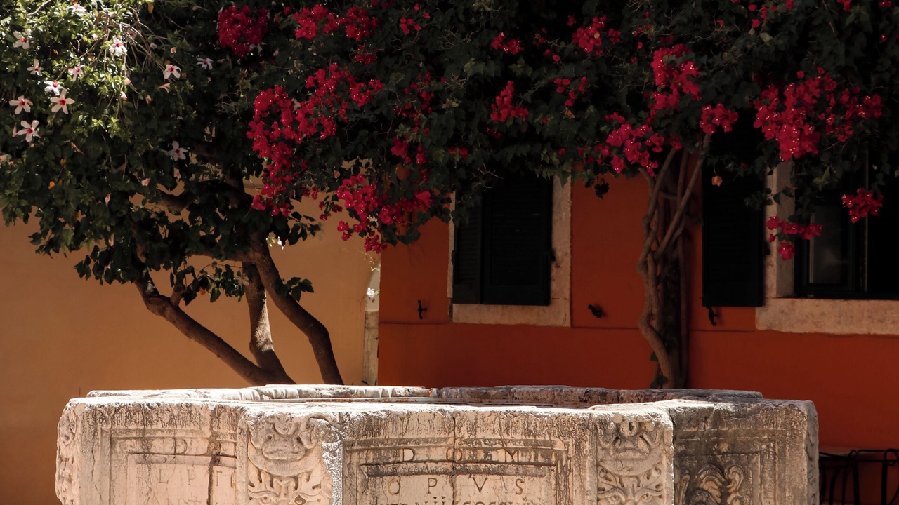 Photo of Outdoor in Old Town